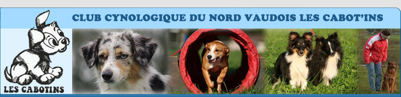 http://www.lescabotins.ch/cmsms/images/graphisme/ban1bb.jpg